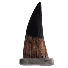 Load image into Gallery viewer, Liopleurodon ferox Tooth on Base