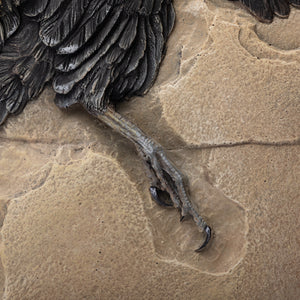 Archaeopteryx lithographica Artist Interpretation