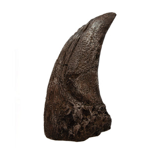 Tyrannosaurus rex Claw