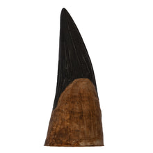 Load image into Gallery viewer, Liopleurodon ferox Tooth