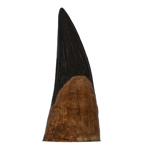 Liopleurodon ferox Tooth