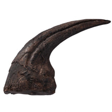 Load image into Gallery viewer, Allosaurus fragilis Claw