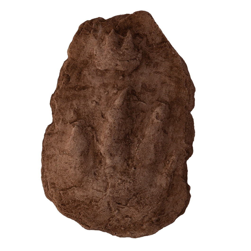 Cheirotherium sp. footprint