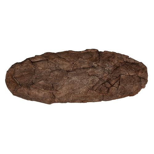 Single Sided Tarbosaurus sp. Egg