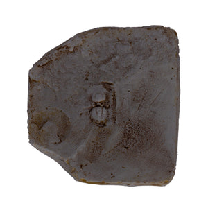 Micragnostus dux